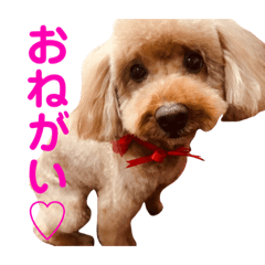 Rina_20210107225528