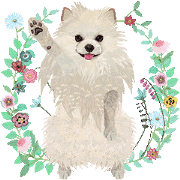 Pom-Pom moving sticker