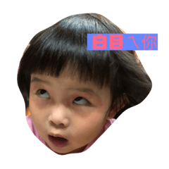 三寶生活日常日常