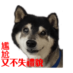 小可日常