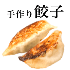 Japanese Food / Gyoza