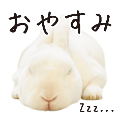 YATO of white rabbit - BASIC