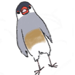 きけんな文鳥 Line スタンプ Line Store