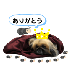 Yuka_20210108131351