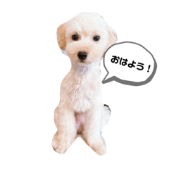 rina_20210108125747