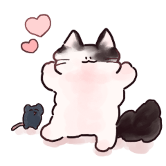 fluffy cat  [Ragdoll]
