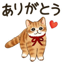 Cat sticker (conveys feelings)