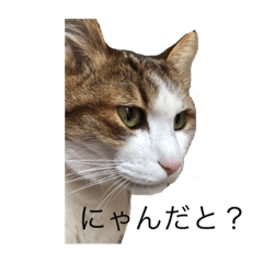 Ayumi_20210108160250