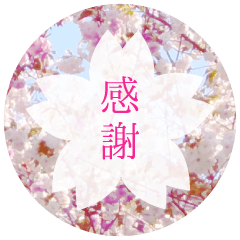 Cherry Blossoms Sticker