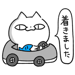 Tachibana Cat 1