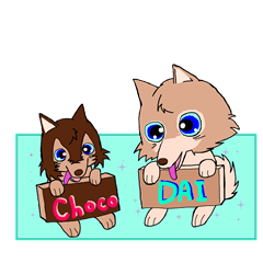 choco and dai