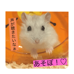 mochimochi family_20210108173508