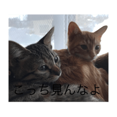 yuga_20210108173405