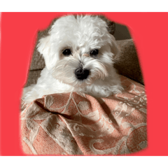 nozomi_20210108175023