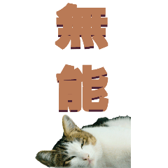 two Chinese characters From Cat-BIG