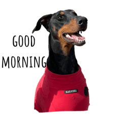 ayumi_20210108202353