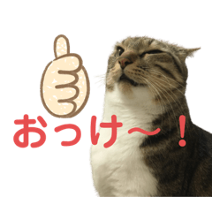 Saiko_20210108235719