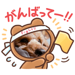 ayumi_20210109040433