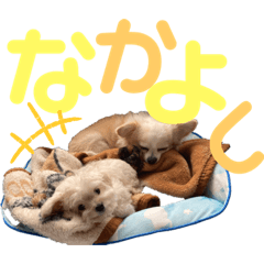 ARISA_20210109080605