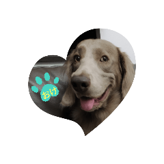 emily_20210108193206