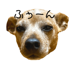 ARISA_20210108210029