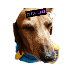 KAZUKI_20210108215253