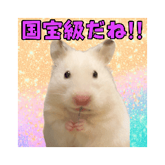 ハムスターコロ吉 Line スタンプ Line Store ハムスターコロ吉 Line スタンプ Line Store