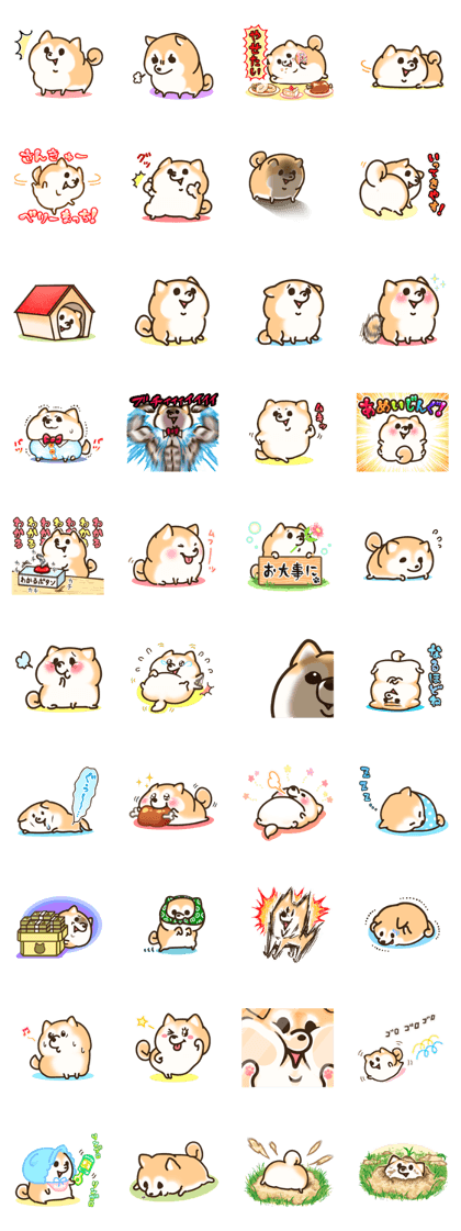 Pocha-shiba!