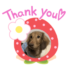 natsumi_20210108231322