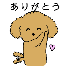 Toy poodle's daily sticker (Japanese)