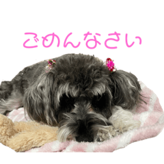 ace_20210109060121