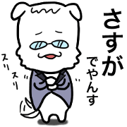 flatterer dog 01