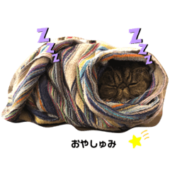 tomomi_20210109133334