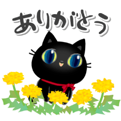 A kitten of a black cat8