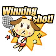 the dog play tennis