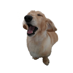 kaho_20210109164539