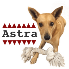 Astra's greeting in Italian