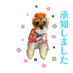 rina_20210109171710