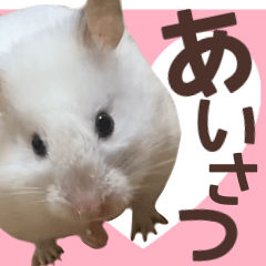 hamster photo sticker masiro