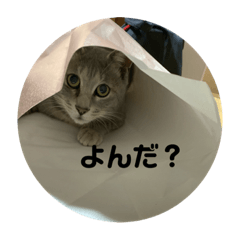 ASUKA_20210109231427