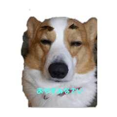 sanae_20210110093051