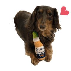 cherry_20210109192828