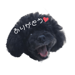 asuka_20210109223259