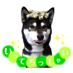 natsumi_20210109223029