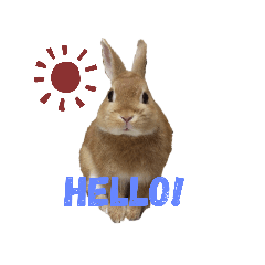 SAORI_20210109224812