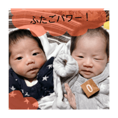 panda_20210110110024