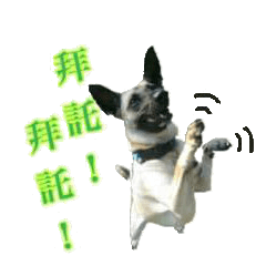 Mix dog Obee's useful stickers