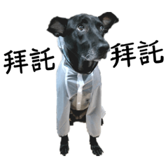 Sally_20210110020639