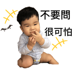 無花果寶寶特輯