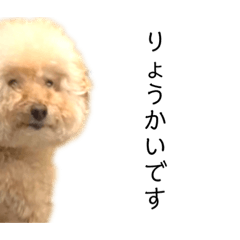 purinnonichijo